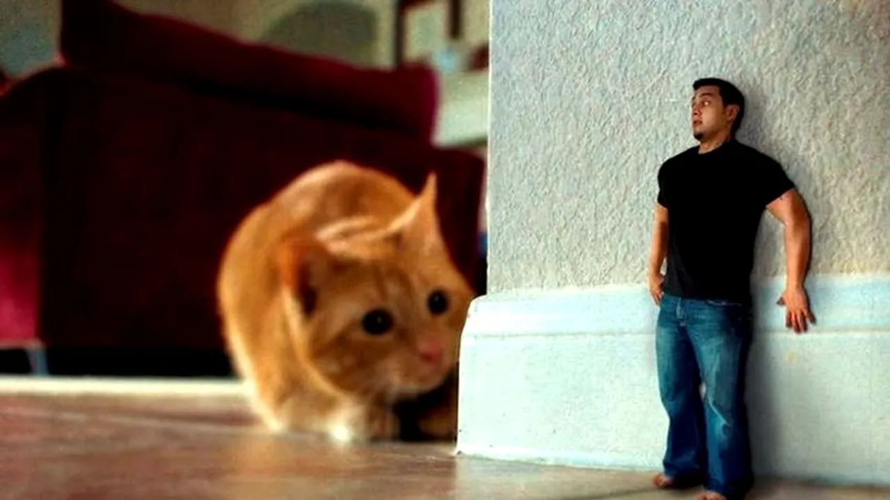 17 boli de care nu ai auzit niciodată