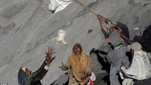 GALERIE FOTO. Sute de indonezieni, surprinși în timp ce furau mâncarea zeilor
