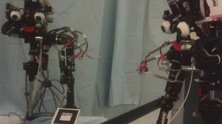 Un robot ar putea trece în curând TESTUL OGLINZII