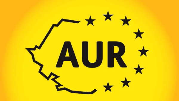 AUR a depus proiectul legislativ pentru alegerea primarilor şi preşedinţilor de Consilii Judeţene în două tururi