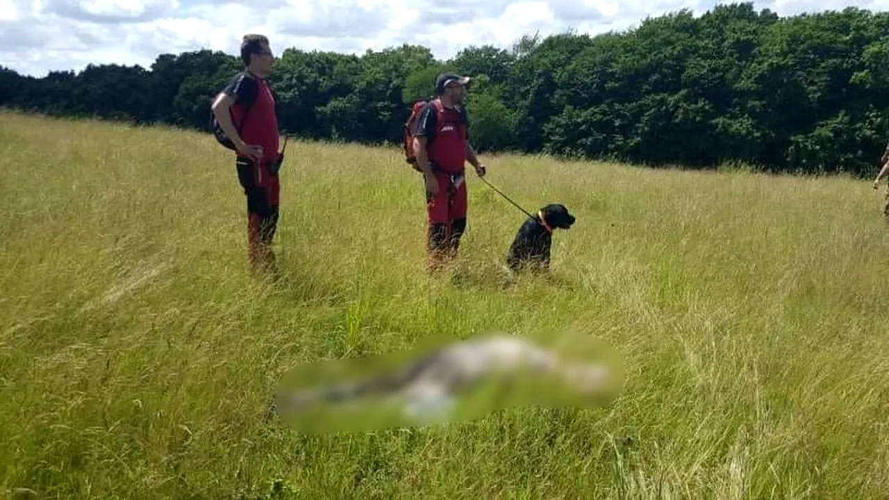 O persoană dată dispărută a fost găsită de un câine al Salvamont Mureş. Bărbatul era decedat