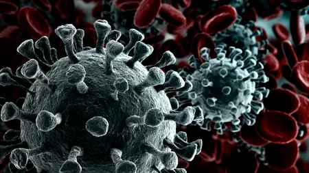 Peste 3.400 de români, care nu aveau alte boli asociate, au fost uciși de COVID-19, de la începutul pandemiei