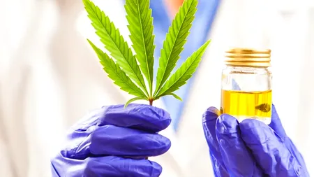 EXCLUSIV | Legea ”Victoria