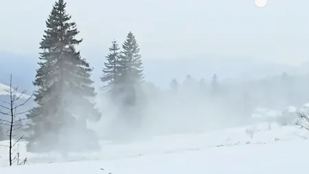 Un VORTEX polar aduce temperaturi siberiene în România, cu nopți geroase, ninsori și vânt puternic