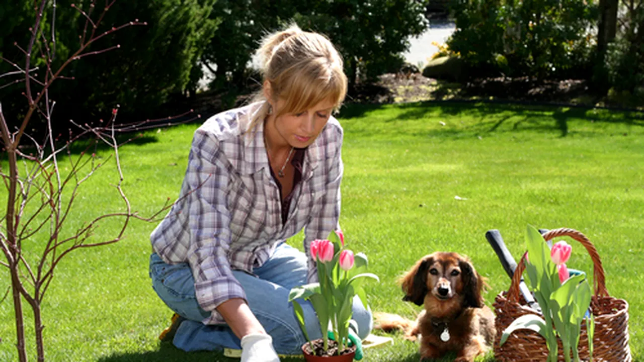 11 moduri inedite să arzi calorii (trimisul de SMS-uri e printre ele)