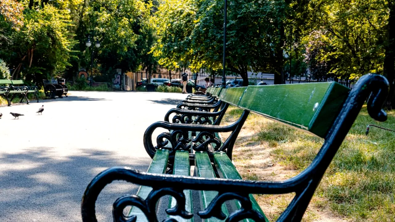 Mobilierul istoric revine în Grădina Cișmigiu. Sute de scaune au fost recondiționate de ALPAB