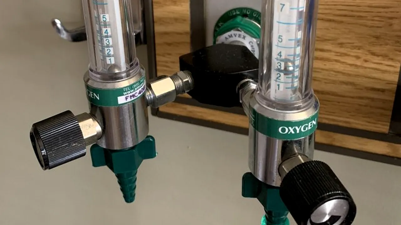 RECORD | Un producător de automobile și un grup industrial s-au reprofilat. Ce vor face, de fapt, cei doi giganți în următoarele trei luni