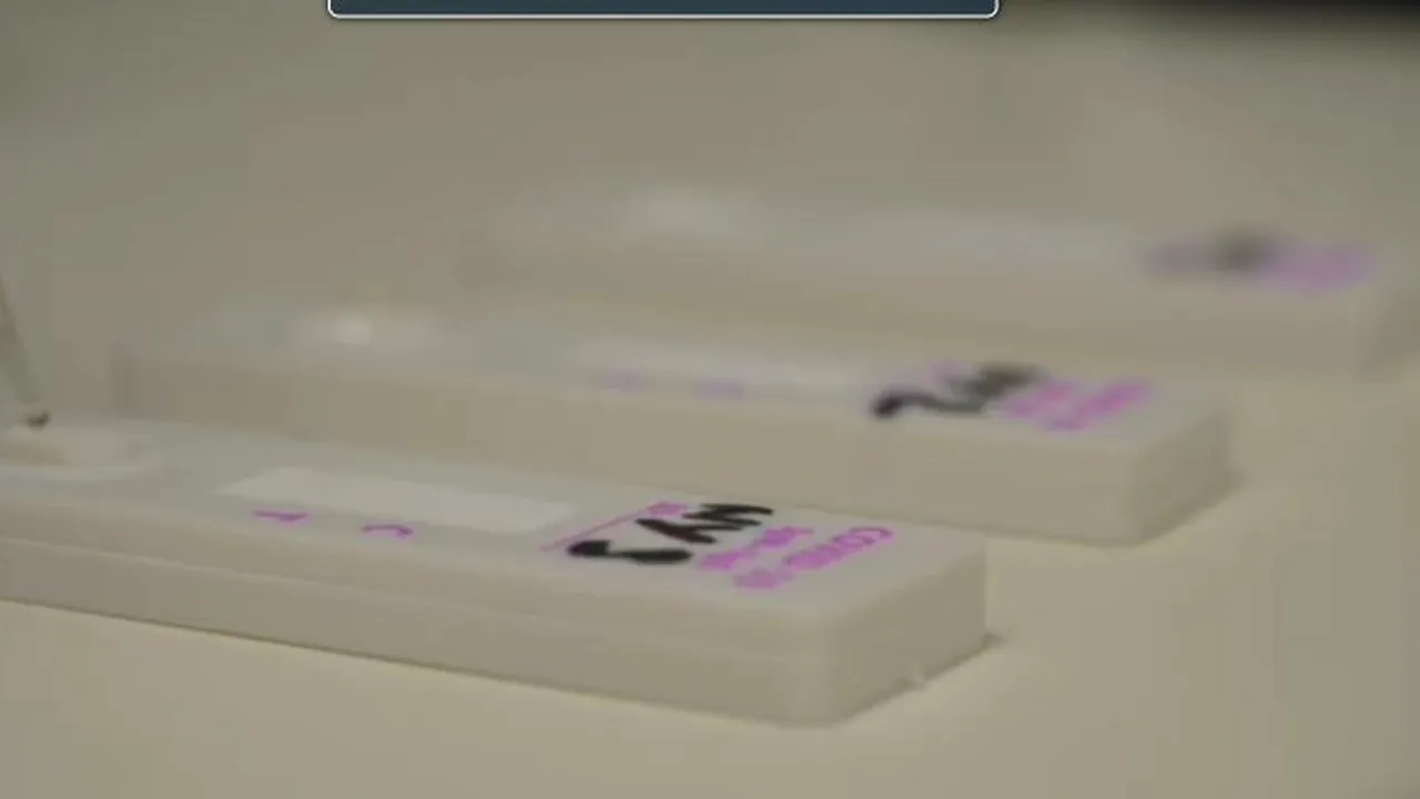 Primul test rapid pentru depistarea Covid-19 produs în România a fost lansat! Cum se folosește (FOTO + VIDEO)