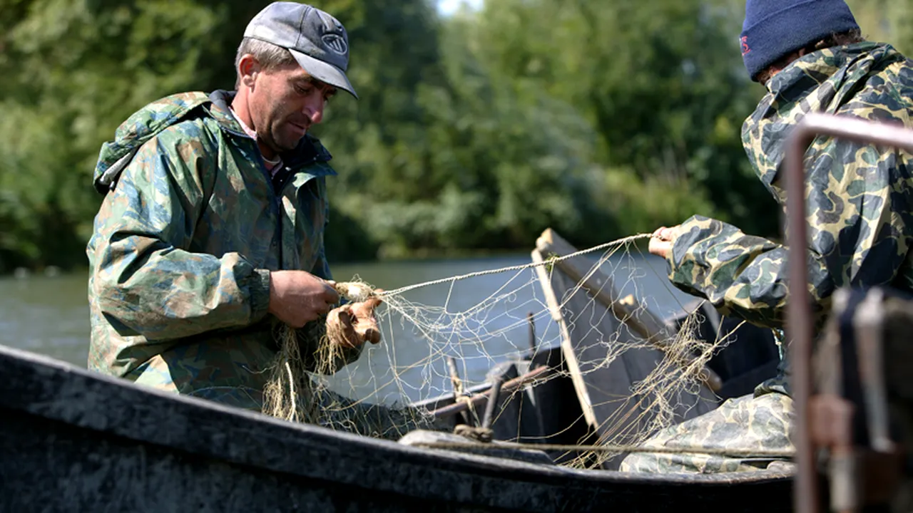 Un nou produs românesc la un pas să intre în lista produselor de top certificate european