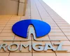 Romgaz cere în instanță DIZOLVAREA Greenpeace România. Cum ar fi fost evitate „responsabilitățile fiscale” ale ONG-ului