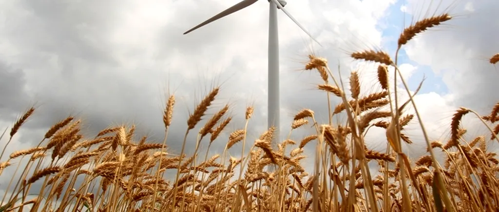 Grupul chinez Sinovel va furniza turbine pentru parcurile eoliene care vor fi construite în Dobrogea