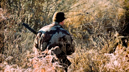 Cadavrul unui bărbat, descoperit într-o pădure, lângă un porc mistreț ce avea un cuțit înfipt în gât. 