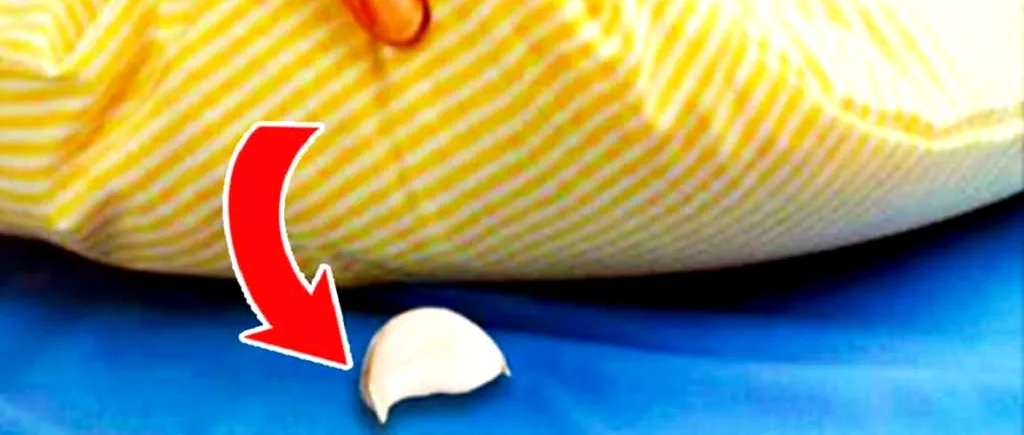 Ce se întâmplă dacă pui un cățel de usturoi sub pernă, înainte de culcare. La asta sigur nu te așteptai!