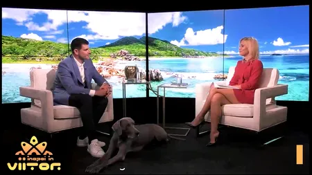 ÎNAPOI ÎN VIITOR | Dragoș Bucurenci, despre a fi persoană LGBT în România: „Este o lecție bună de umilință și smerenie pe care o primesc, care mă ajută să cresc”