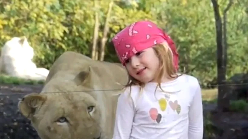 VIDEO. Moment amuzant la ZOO. Cum a reacționat o fetiță când s-a trezit în spate cu o leoaică