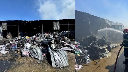 Imagini dezolante cu urmările INCENDIULUI dezastruos de la Dragonul Roșu. Pompierii sting ultimele focare la peste 12 ore de la incident