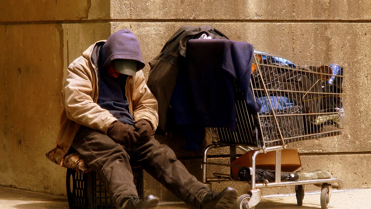 Ce se poate întâmpla când angajezi oameni ai străzii. Incredibila pățanie de la o fermă de lapte din Huși!