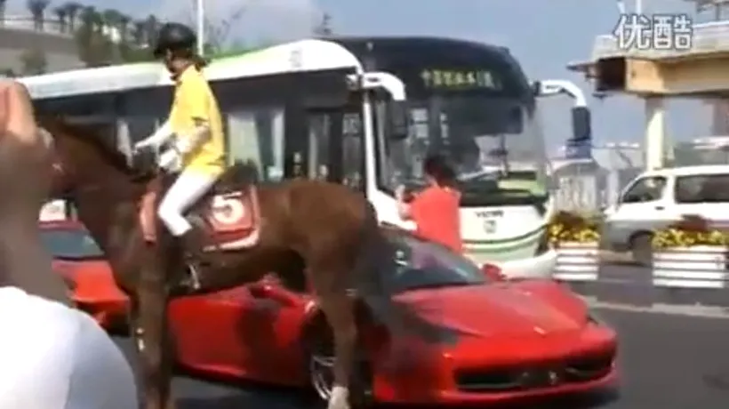 VIDEO: Ce se întâmplă când un Ferrari se întâlnește cu un cal