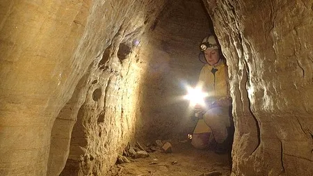 O străveche reptilă zburătoare, denumită după un film premiat cu Oscar