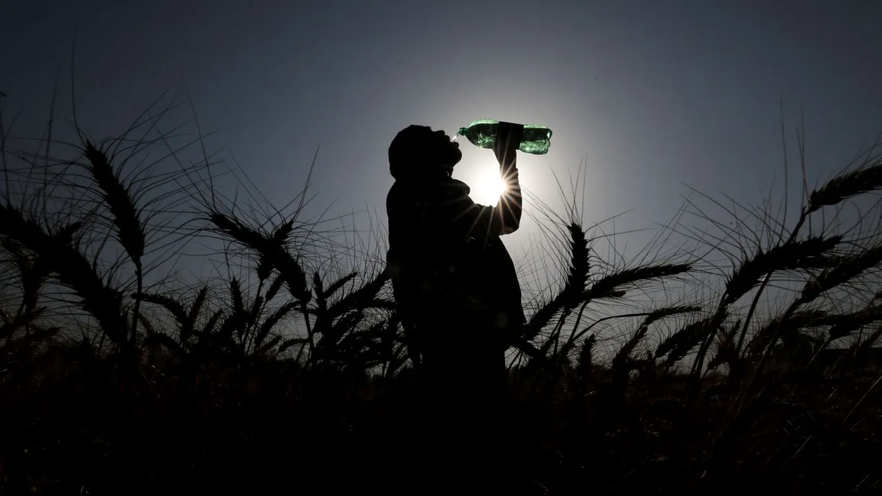 Record de căldură în India. Termometrele au indicat peste 49 de grade Celsius