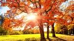 Cum va fi vremea în luna septembrie. Meteorologii au anunțat prognoza meteo pentru următoarele patru săptămâni