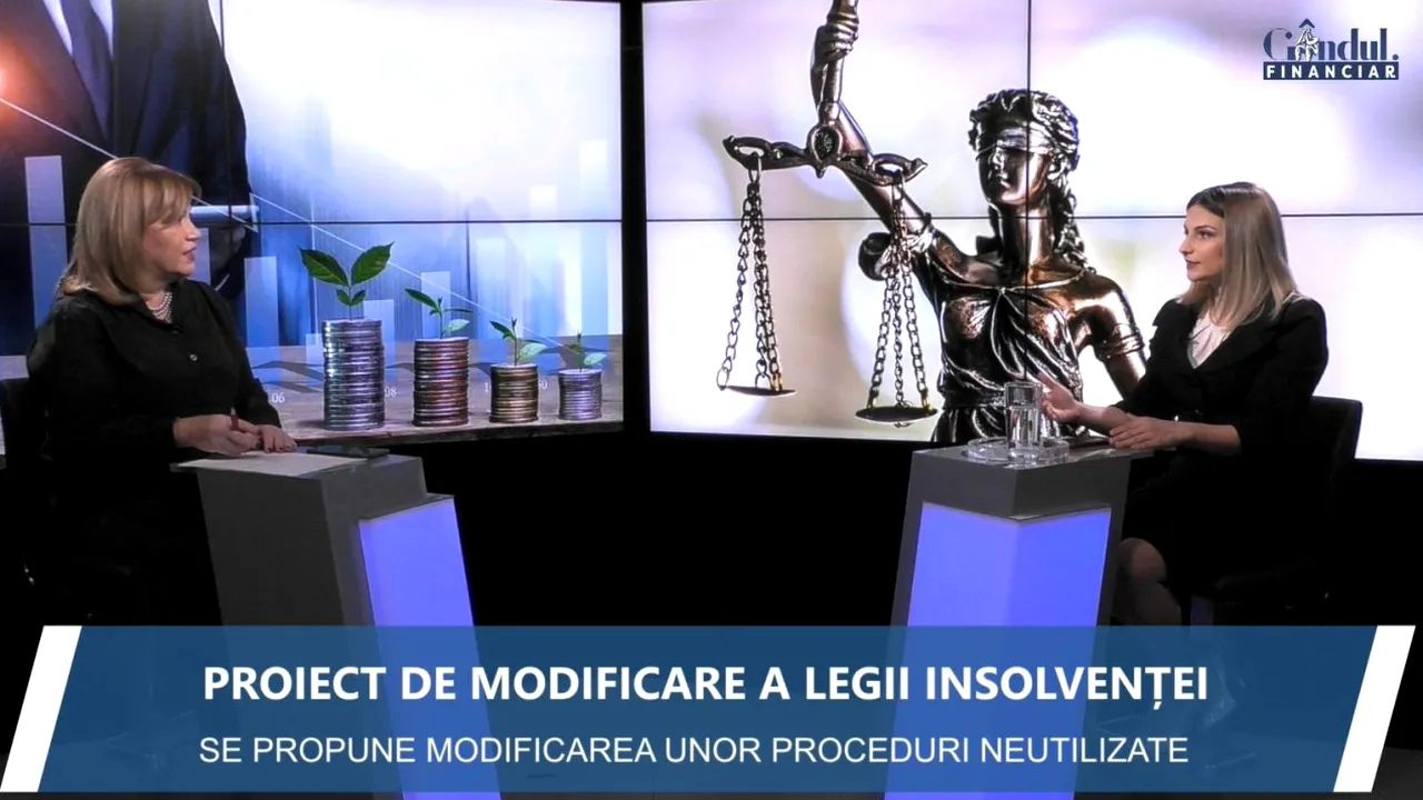 GÂNDUL FINANCIAR. Proiect de lege pentru prevenirea insolvenței. Vasile Godîncă- Herlea, CITR: „În acordul de restructurare, este o procedură confidențială”