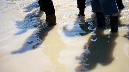 Cod portocaliu pe Dunăre, de sâmbătă dimineață