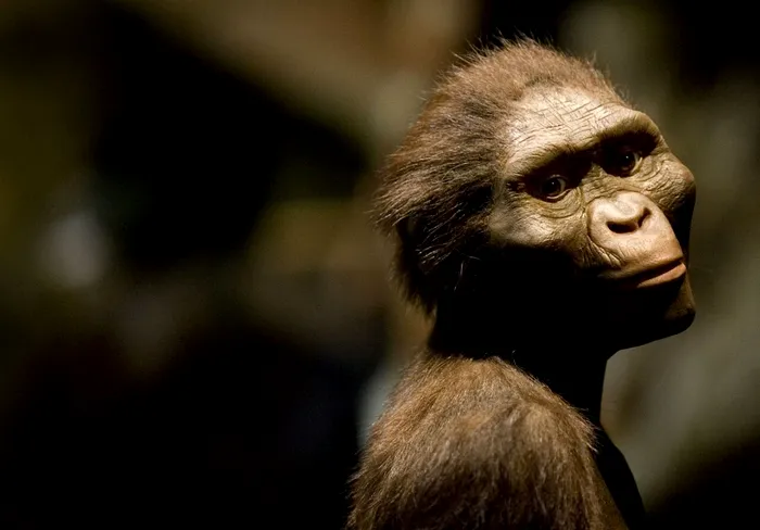 Australopithecus afarensis. Sursa Foto: Profimedia 