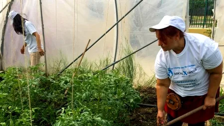 Muncă în solar pentru beneficiarii magazinului SocialXChange din București