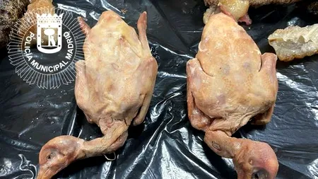 Trufandale made in China. Porumbei serviți într-un restaurant chinezesc din Madrid pe post de rață