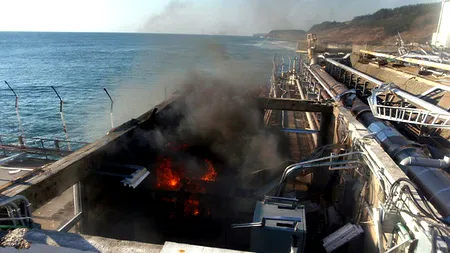 Pește puternic radioactiv, pescuit la câteva zeci de kilometri de Fukushima