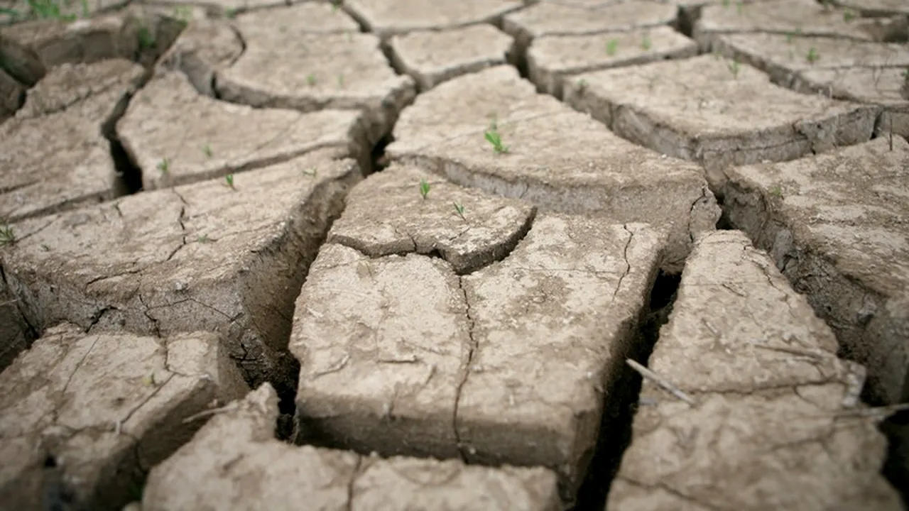 Seceta din Statele Unite se intensifică cu o viteză 