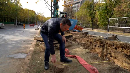 VIDEO | Peste 100 de copaci defrișați DEGEABA de Primăria Generală! Primarul Sectorului 3, Robert Negoiță, vine cu dovezi de la fața locului