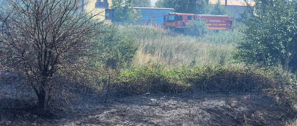 Anunț CFR: Circulația feroviară temporar OPRITĂ între Coțofeni și Ișalnița din cauza unui incendiu de vegetație