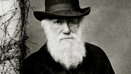Mai multe scrisori redactate de Charles Darwin, publicate de Universitatea Cambridge 