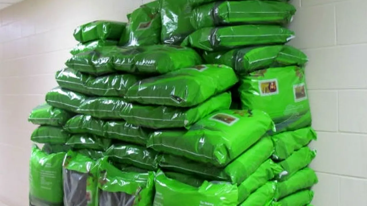 Aproape 50 de kilograme de frunze de khat, un nou tip de drog, confiscate de polițiști constănțeni