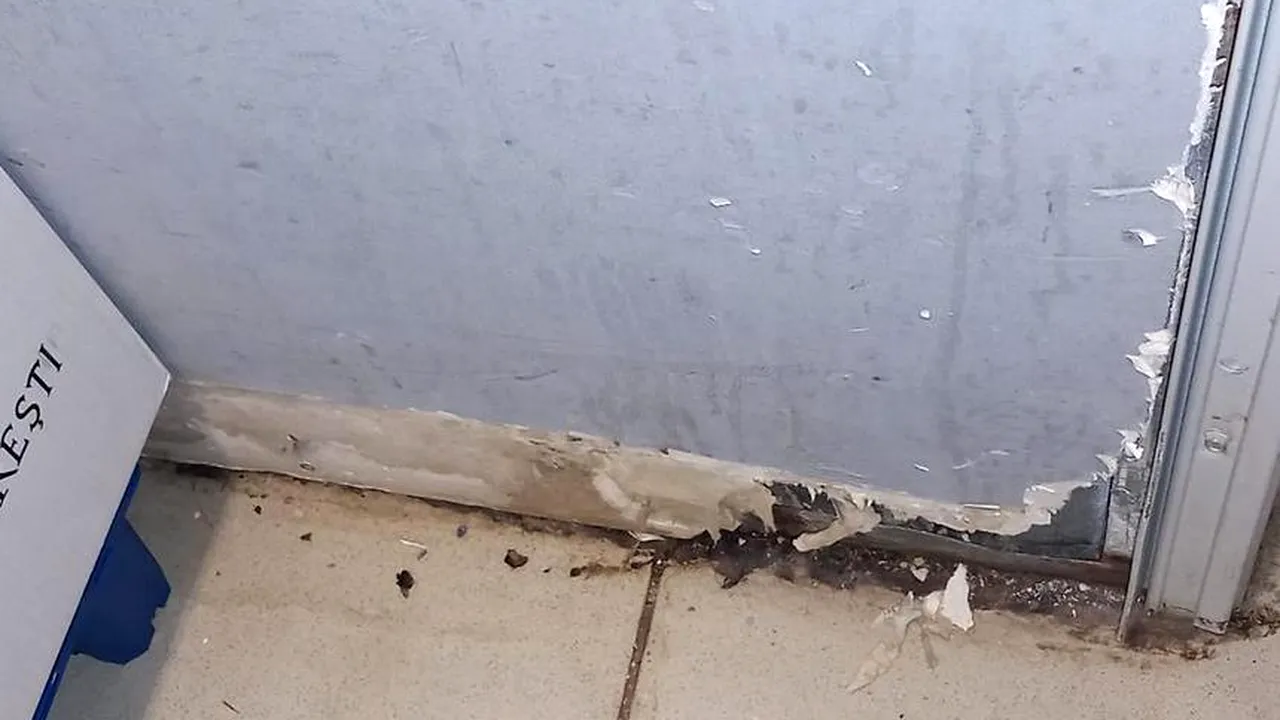 Mizerie de nedescris, alimente stricate, produse expirate. Comisarii de la Protecţia Consumatorului au dat amenzi de peste 900.000 de lei