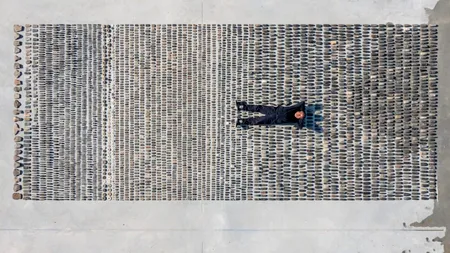 Nuferii lui Monet în variantă Lego marca Ai Weiwei, la Londra