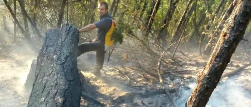 Mobilizare impresionantă pentru stingerea incendiului din Parcul Național Domogled