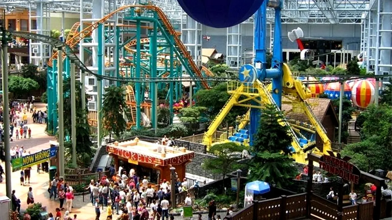 72.000 de gărgărițe, eliberate într-un mall din America