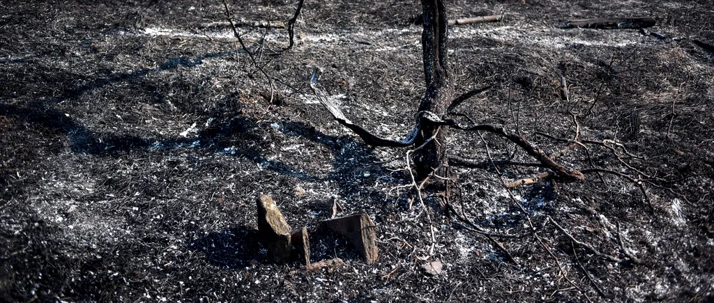 Risc mare de INCENDII în mai multe zone din Grecia. Ce regiuni sunt afectate