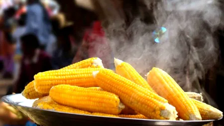 Trucul pe care doar puține gospodine îl știu. Cum obții cel mai delicios PORUMB fiert