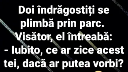 BANCUL ZILEI | „Iubito, ce ar zice acest tei dacă ar putea vorbi?”