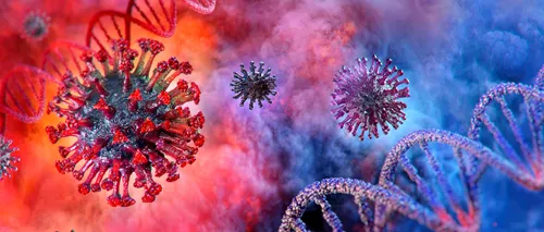 O nouă tulpină de <i class='ep-highlight'>coronavirus</i>, pericol pentru omenire: „Are potențialul de a se multiplica în celulele umane!”