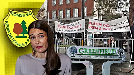EXCLUSIV VIDEO | Soluția pentru scandalul Greenfield, la mâna primarului Clotilde Armand. Revenirea la drumul prin Pădurea Băneasa, salvarea temporară