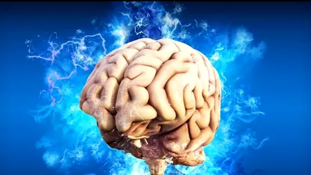 Metformina, medicamentul recomandat pentru diabet, acționează direct la nivel cerebral