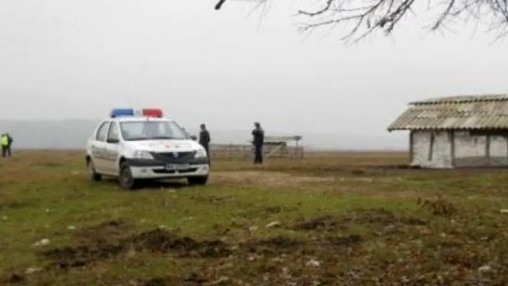 Fiul unui consilier local din Buzău, arestat preventiv după ce a accidentat mortal cu mașina un cioban