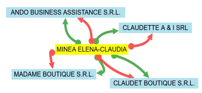 Cele patru firme administrate de Elena Claudia Minea