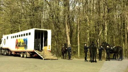 PARCURI ÎNCHISE. Jandarmii călare verifică respectarea interdicției