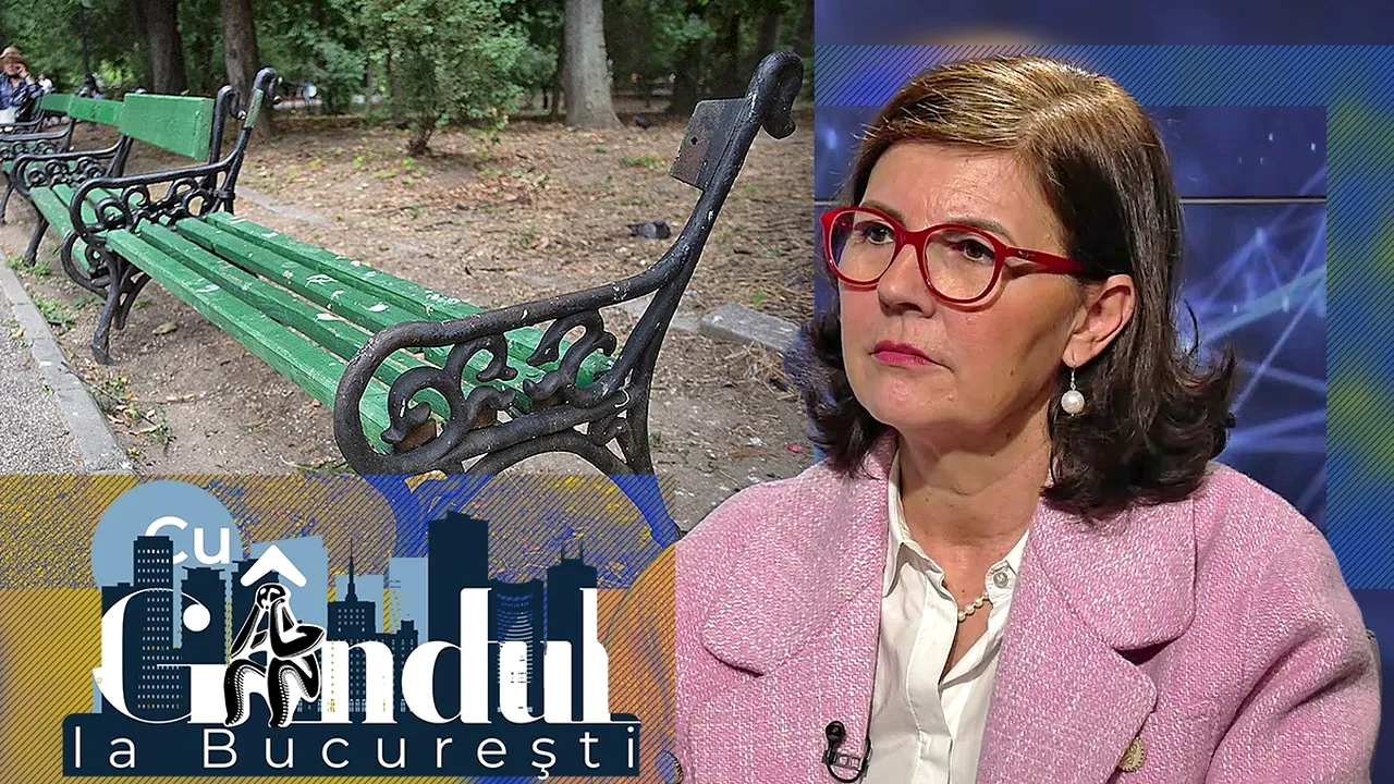 EXCLUSIV VIDEO | Cum explică șefa ALPAB sumele mari pentru băncile din parcuri. Corina Bega: „Avem nevoie de lemn tare. Calitatea costă, suntem capitală europeană”